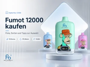 Fumot Digital Box 12000 Züge